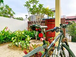 Frankel Estate (D15), Terrace #631070661